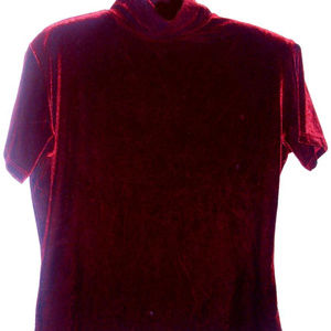Plush crushed velvet velour burgundy wine turtle